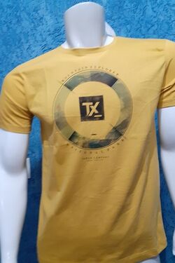 Camiseta Masculina Thoux 