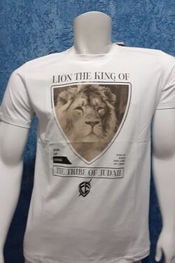 Camiseta Masculina  Fé Judah 