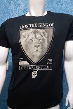 Camiseta  Masculina Fé Judah 