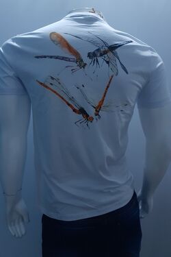 Camiseta Masculina Careca Invert