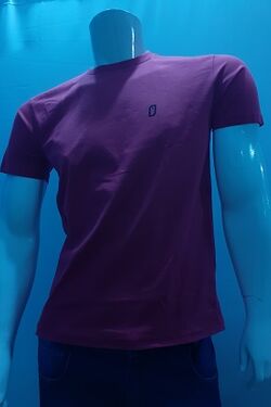 Camiseta Masculina Invert