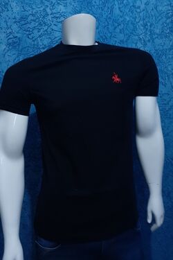 Camiseta Masculina Polo Classic