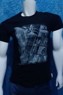 Camiseta Masculina La Rossi