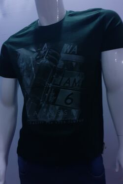 Camiseta Masculina La Rossi