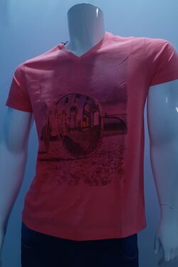 Camiseta Masculina Gola V Six One