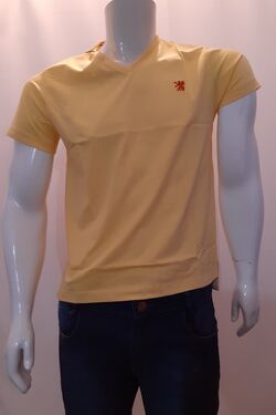 Camiseta Masculina Decote V Six One