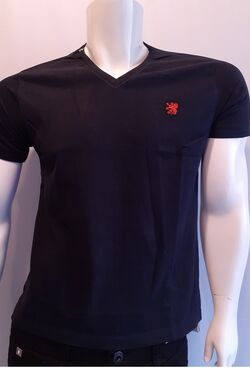 Camiseta Masculina Decote V Six One