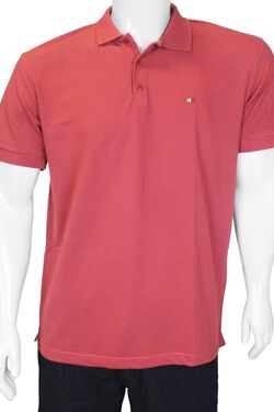 Camisa Polo Masculina La Rossi 