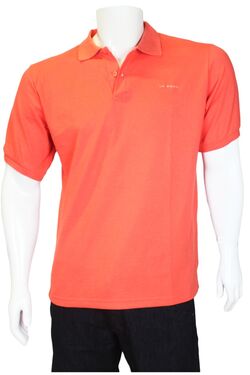 Camisa Polo Masculina La Rossi 