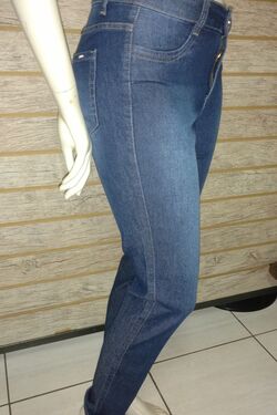 Calça Jeans Skinny do 38 ao 46 Muito Mais 