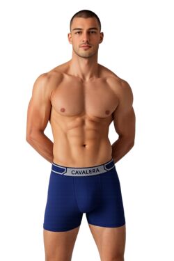 Cueca Boxer Cavalera Sem Costura Masculina Poliamida Conforto - 53615